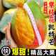 三萌果蔬四川攀枝花凱特芒芒果新鮮水果當(dāng)季水仙芒青皮大芒果時(shí)令孕婦整箱 5斤老樹果【單果300g+】 凈4.5斤