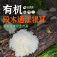 裕德源（yudeyuan） 巴中燕窩有機通江銀耳青杠段木雪耳無(wú)硫銀耳四川特產(chǎn)50克/罐二級