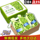 辣青春【順豐多地次日達(dá)】云南陽光玫瑰青提葡萄晴王當(dāng)季新鮮水果禮盒裝 一級果2斤【原箱串裝】單顆8-10g 顆顆甄選