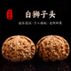 山中玉文玩核桃一物一圖實(shí)拍三角白獅子悶尖獅子頭手把件盤(pán)送七夕禮物 39-40mm白獅子頭