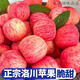 【甜哭了】陜西洛川紅富士蘋(píng)果冰糖心新鮮水果爆甜整箱 9.5-10斤整箱大果【精選】