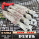 筆管魚新鮮冷凍野生海捕筆管魚小魷魚小海兔子現(xiàn)捕新鮮海鮮水產 筆管魚【1斤裝】