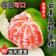 新鮮現(xiàn)摘云南青皮蜜橘桔子 當(dāng)季時(shí)令非皇帝柑水果孕婦9斤整箱包郵 【精選裝】大果 5斤【肉質(zhì)飽滿(mǎn)，果園現(xiàn)摘】