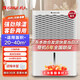 格力（GREE） 除濕機工業(yè)高效抽濕機家用烘干屋內節能抽濕器臥室除濕器低噪烘干衣去濕器適用面積20-40㎡ 20L/天 20-40㎡ DH20EM
