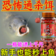 過(guò)江風(fēng)顆粒餌正品釣魚(yú)餌料強效誘魚(yú)直接掛鉤鮮丹顆粒超濃腥 三瓶【桿桿上大魚(yú)】