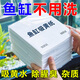 魚缸黃水過濾清潔神器水族箱吸色片透水凈水材料過濾器吸色紙 凈水片【買20片送30片】50片裝