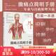【官方包郵】 激痛點簡明手冊 專業(yè)與自助處理方法 第3版 疼痛消除手法經(jīng)典圖解手冊 保健按摩書籍