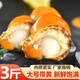 鯨口大開(kāi)【精選】新鮮青島大扇貝肉鮮活非即食超大夏夷貝帶黃無(wú)沙鮮活冷凍 新鮮現(xiàn)剝扇貝肉3斤(凈重)