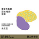 治光師 BTO系列 肯尼亞SL28&SL34 荔枝 厭氧日曬手沖咖啡豆100g源頭直發(fā)