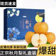 正宗山東秋月梨新鮮梨子當季現(xiàn)摘萊陽冰糖梨雪梨蜜梨中秋水果 5斤 【熱賣裝】高性價比，吃貨專享