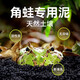 REPTIZOO角蛙泥墊材生態(tài)缸造景專用泥角蛙土天然無異味 天然角蛙泥【600g】