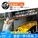lurefans大河VIB響尾蛇路亞假餌 R30/35/R50遠(yuǎn)投路亞餌鐵板翹嘴魚鱸魚亮片 混色裝 50mm【13.5g】5只裝