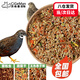 茨格曼 蘆丁雞飼料柯爾鴨小雞飼料鳥飼料皺雞成長高蛋白營養(yǎng)混合型產(chǎn)蛋# 全期成長營養(yǎng)飼料【2.5kg】