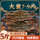 十里饞梭子蟹鮮活冷凍大號野生舟山大螃蟹海鮮新鮮海蟹飛蟹白蟹年貨禮盒 6-7兩/只 5斤裝
