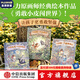 勇敢小皮闖世界（全3冊）【3-6歲繪本】 小皮的第一個好朋友 小皮第一次照顧別人 小皮第一次去旅行 二木真希子著 中信出版社圖書 勇敢小皮闖世界（全3冊）