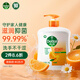 滴露（Dettol）洗手液柑橘500g瓶 健康抑菌消毒清爽 兒童家庭非補(bǔ)充裝替換