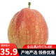 迭果陽信媚梨精品果新梨七號山東濱州特產(chǎn)細嫩化渣梨子新鮮水果 5斤臻選8-12個 媚梨