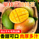 儒沐宸光四川攀枝花凱特芒當(dāng)應(yīng)季新鮮水果超甜芒果水果應(yīng)季現(xiàn)摘時(shí)令生鮮 臻選一級(jí)大果丨單果400g+ 凈重9斤丨多人聚會(huì)裝