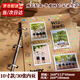 ROSHK成長紀(jì)念冊活頁本六年級畢業(yè)記錄手冊畢業(yè)季diy同學(xué)錄紀(jì)念冊空白相冊本回憶錄手工可貼照片 10寸牛皮硬殼【牛皮卡紙30張】帶護(hù)角