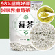 養(yǎng)益君 芽尖莓茶50g 新茶  張家界莓茶特級(jí)芽尖莓茶龍須藤茶永順霉茶