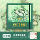 George Willsons可撕繪畫(huà)本水彩素描本丙烯馬克筆專(zhuān)用畫(huà)本綁帶加厚200g白卡紙畫(huà)畫(huà)本兒童小學(xué)生隨身便攜空白速寫(xiě)本 丙烯馬克繪畫(huà)本-白玫瑰