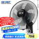 先科（SAST）風(fēng)扇/壁扇/電風(fēng)扇/宿舍餐廳電風(fēng)扇/大風(fēng)力/交流定頻/壁掛式電風(fēng)扇FB-308 