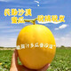 【甜蜜-來襲】正宗甘肅民勤蜜瓜 新鮮現(xiàn)摘沙漠蜜瓜整箱現(xiàn)發(fā) 5斤帶箱【凈重4-5斤】1-2個 精選裝