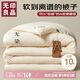 無印良品A類華夫格10%大豆纖維空調(diào)被 四季家用雙人夏涼被芯200*230cm4斤