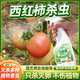 諾優(yōu)寵西紅柿專(zhuān)用打蟲(chóng)藥防小番茄用藥殺蟲(chóng)劑蟲(chóng)除蟲(chóng)藥防蟲(chóng)長(cháng)蟲(chóng)驅蟲(chóng)非農藥 【1瓶裝】植物殺蟲(chóng)劑1瓶