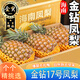 畝家田海南金鉆鳳梨17號無眼菠蘿手撕鳳梨當季孕婦水果年貨整箱 5斤精選金鉆鳳梨【2-3個】