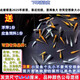 采緹（CAITI）觀背青鳉觀賞魚魔法魚冷水魚小型錦鯉金魚淡水魚不打氧好養(yǎng)活體 青鳉苗1.2-1.5厘米10+5條防損發(fā)15只