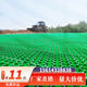 宏飛盛植草格塑料草坪格停車場(chǎng)庭院綠化網(wǎng)格護(hù)坡停車位屋頂小區(qū)消防車道 普通型【高度4cm】 花口 一塊