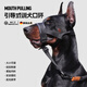 WCZ德國(guó)防爆沖訓(xùn)犬嘴套狗狗嘴套防咬防叫中大型犬杜賓羅威納德牧馬犬 曜石黑【嘴圍、脖圍大小可調(diào)節(jié)】 S【嘴圍15-35CM，建議8-45斤左右