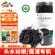 派紳有機紫菜60g頭水紫菜包飯不免洗紫菜蝦米皮蛋花湯料包拌飯碎食材