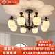 帝贊客廳吸頂燈美式中古風(fēng)現(xiàn)代簡(jiǎn)約臥室餐廳大燈復(fù)古設(shè)計(jì)師款大廳燈具 【8頭】咖色直徑88CM-三色光