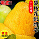 甜萌果蔬攀枝花凱特芒果 當(dāng)季新鮮水果現(xiàn)摘甜心青皮大芒果四川整箱送禮 果農(nóng)超臻選裝（單果約350g+） 凈8斤家庭分享裝【苣劃算】