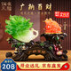銅雀天驕大白菜金蟾招財擺件新店公司辦公室開(kāi)業(yè)大吉賀禮高檔禮品喬遷禮物 翠玉色尺寸約35*13*25cm