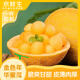 京鮮生 金色年華蜜瓜2-3粒 凈重8-9斤 生鮮水果 源頭直發(fā)
