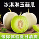 正宗玉菇甜瓜水果 南匯冰激凌甜瓜白玉菇應(yīng)季現(xiàn)摘水果 5斤帶箱【凈重4.5斤】2-4個(gè) 【超值裝】