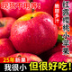 櫻桃小蘋(píng)果昭通丑蘋(píng)果冰糖心新鮮水果脆甜紅露富士當季整箱包郵 1斤【單果60-69mm】