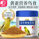 開(kāi)元（KO）黃雀鳥(niǎo)食飼料金青鳥(niǎo)芙蓉灰文鳥(niǎo)鳥(niǎo)料黃雀鳥(niǎo)鳥(niǎo)飼料桶裝250g 全價(jià)黃雀鳥(niǎo)食250g