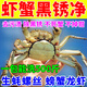 蝦蟹黑銹凈洗蝦粉小龍蝦清洗劑大閘蟹黑殼去污粉檸檬酸生物除銹酶 一瓶【蝦蟹黑銹凈】一泡即凈