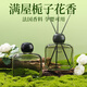 左赫梔子花香薰室內(nèi)持久留香香水家用大瓶精油房間臥室?guī)鶎Ｓ贸愇?90%選擇【庭院梔子】1瓶裝150ml
