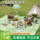 戶(hù)外野餐墊加厚防潮墊便攜折疊地墊室內室外海灘露營(yíng)帳篷防水坐墊 加厚綠色格子2*2米【可坐6-8人】