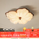 摩燈會(huì)臥室吸頂燈 房間主臥燈2025新款高級感護(hù)眼中古風(fēng)書房燈中山燈具 胡桃木色-59cm【三色變光】