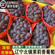 鑫果滋【順豐】遼寧北鎮(zhèn)茉莉香葡萄 玫瑰香小提子郁金香葡萄新鮮水果 3斤 順豐