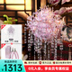 拼酷粉黛二十二鳳冠 粉冠粉紅色鳳冠 3d立體拼圖七夕情人節(jié)禮物送女友 粉黛二十二鳳冠+粉色工具套裝