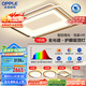 歐普（OPPLE）吸頂燈客廳燈全光譜智能LED燈具燈飾簡(jiǎn)約現(xiàn)代大氣套餐1 包安裝