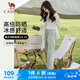 駱駝（CAMEL）冰絲涼感運動褲女速干防曬束腳褲子 JC2225L2007 淺桑綠 L