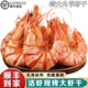 九節(jié)蝦干即食【順豐可選】大烤蝦干特大斑節(jié)蝦干對(duì)蝦干風(fēng)干大烤蝦 凈重500g 中號(hào)九節(jié)蝦干/順豐